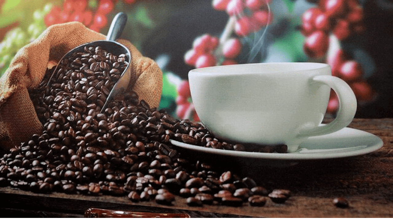 Café de Honduras: Guía de granos, regiones y notas de sabor