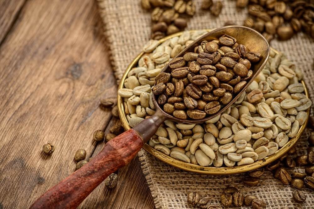 Café Harrar Etiopía: Guía completa del café Harrar etíope