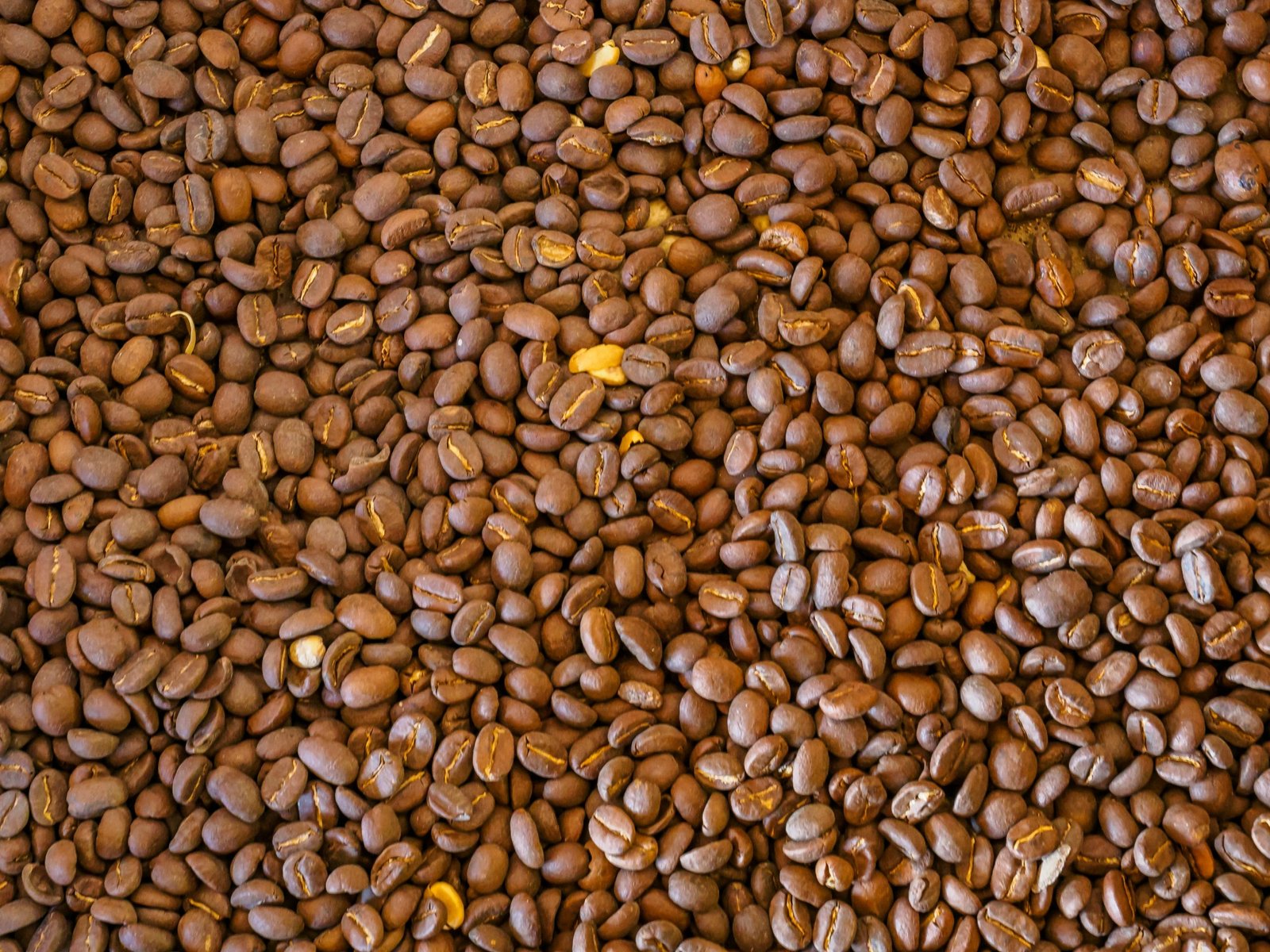 Café de Guatemala: Guía completa cafés guatemantecos