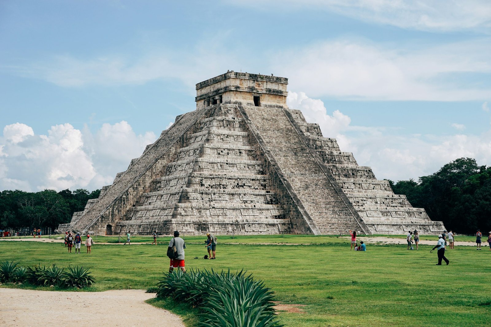Café de México: Guía completa café de mejicano