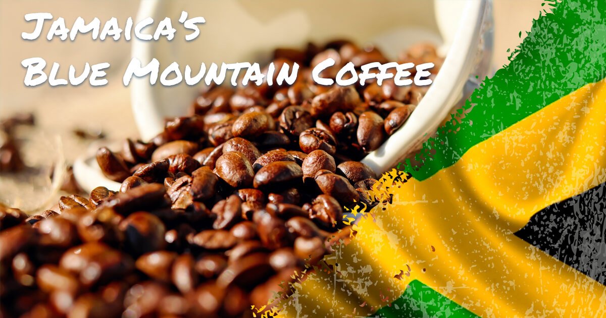 Café Blue Mountain Jamaica: Guía de granos y notas de sabor