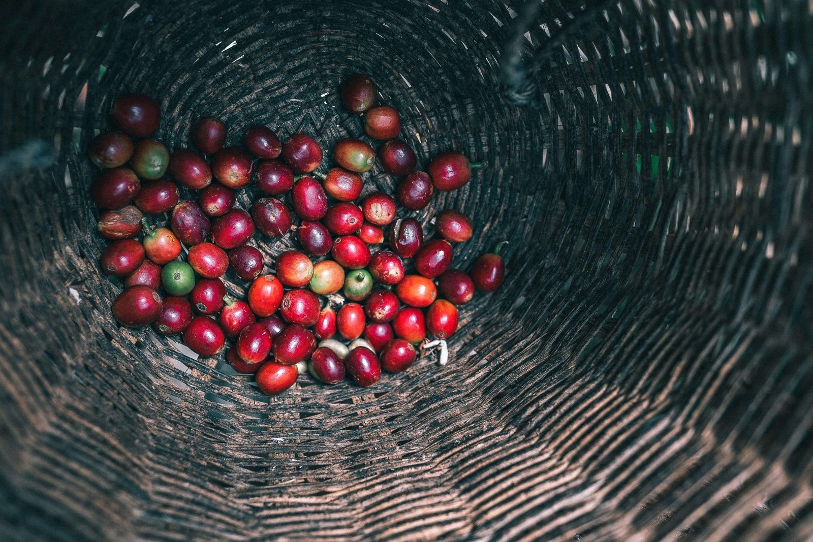 Café de Burundi: Guía completa de granos de café de Burundi