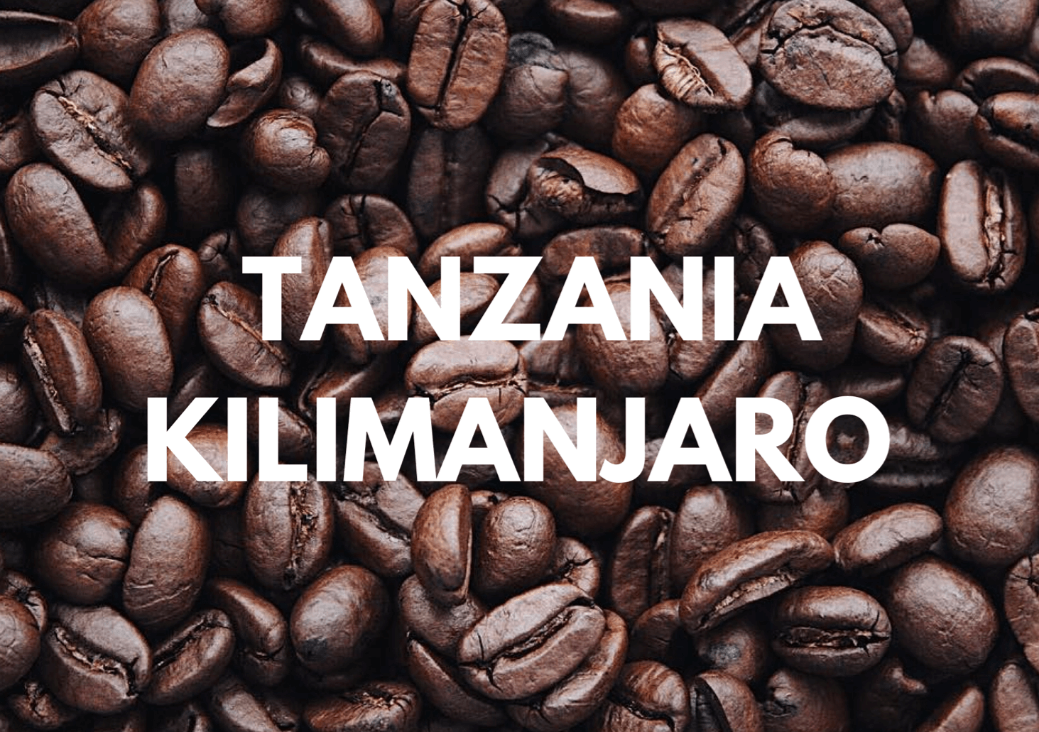 Café de Kilimanjaro Tanzania: Guía de granos y notas de sabor