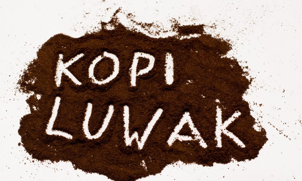 Kopi Luwak falso / café de civeta falso