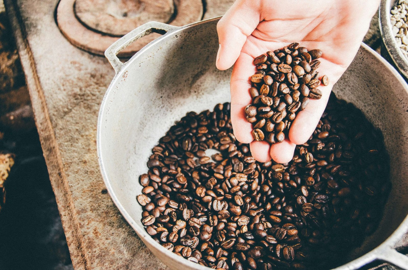 Café de Venezuela: Guía de granos y notas de sabor