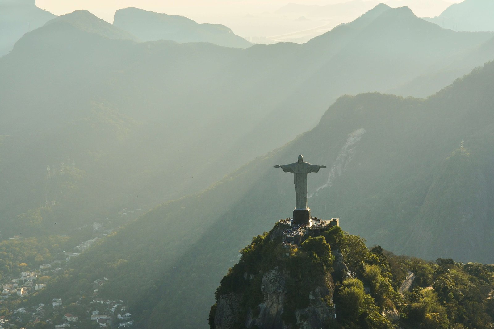 Café de Brasil: Guía completa de granos de café brasileños