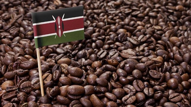 Café de Kenia: Guía completa café de Kenia