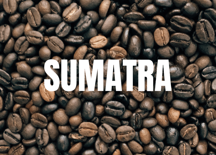 Café de Sumatra: Guía de granos, regiones y notas de sabor